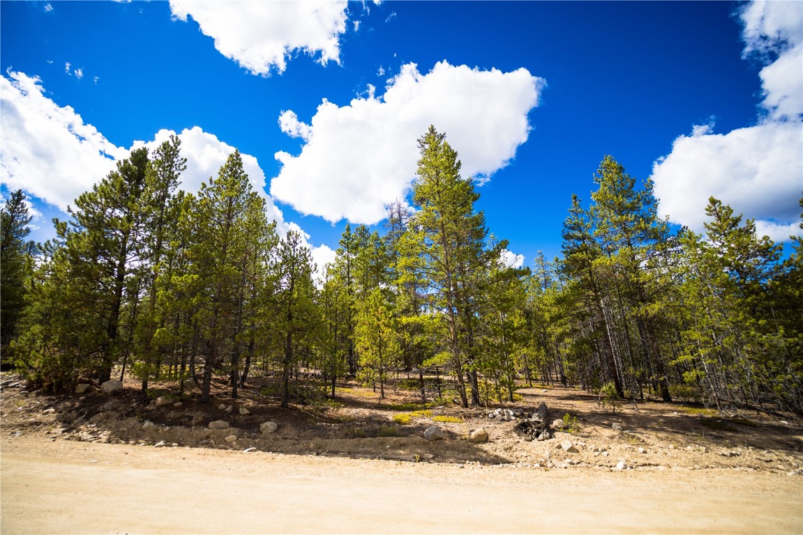 247 Juniper Drive Twin Lakes CO 81251