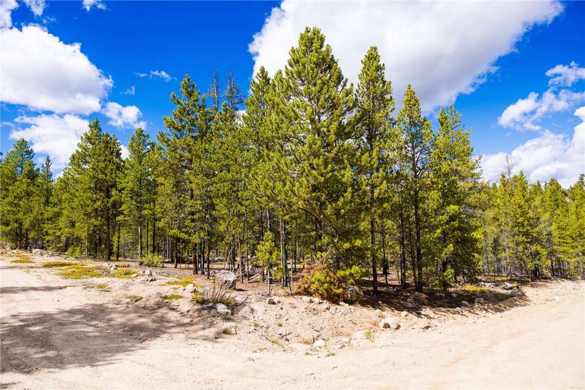 247 Juniper Drive Twin Lakes CO 81251