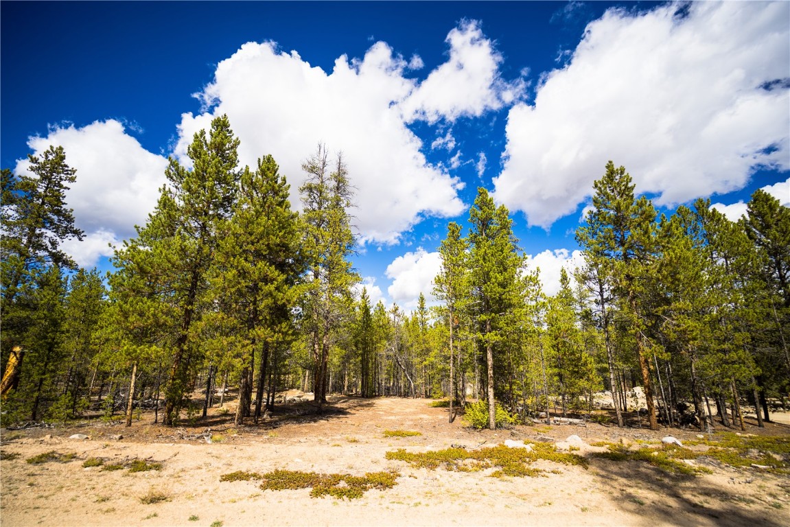 247 Juniper Drive Twin Lakes CO 81251