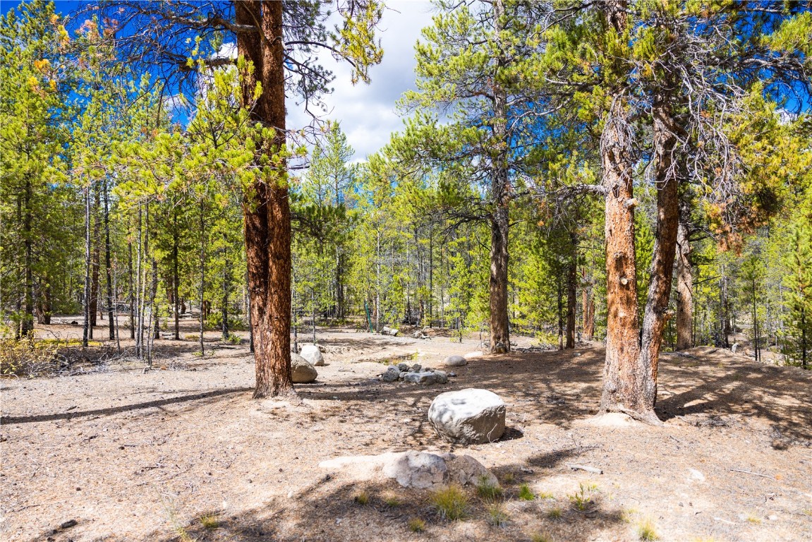 247 Juniper Drive Twin Lakes CO 81251