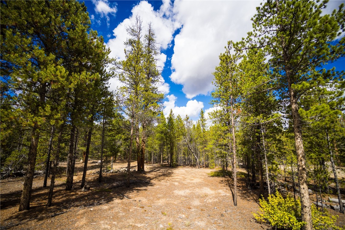 247 Juniper Drive Twin Lakes CO 81251