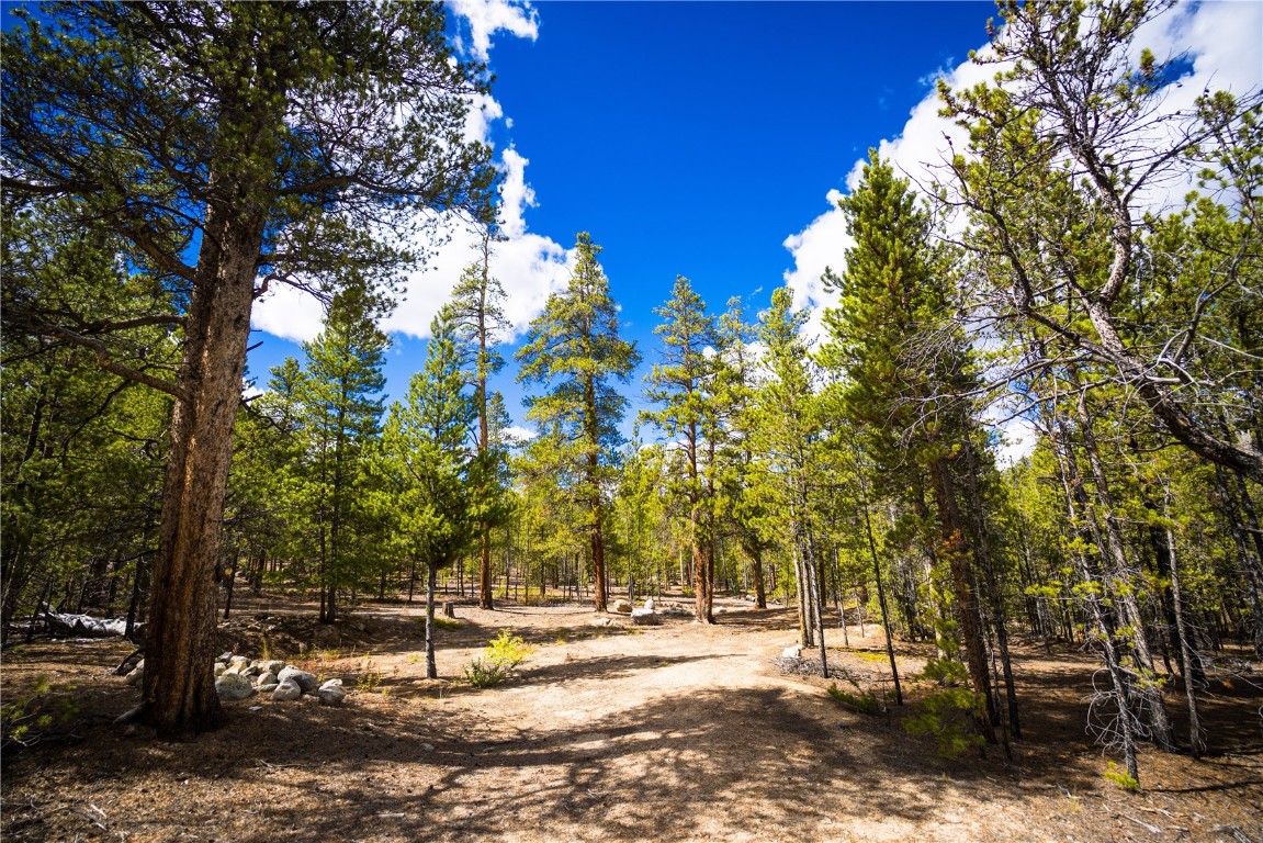 247 Juniper Drive Twin Lakes CO 81251
