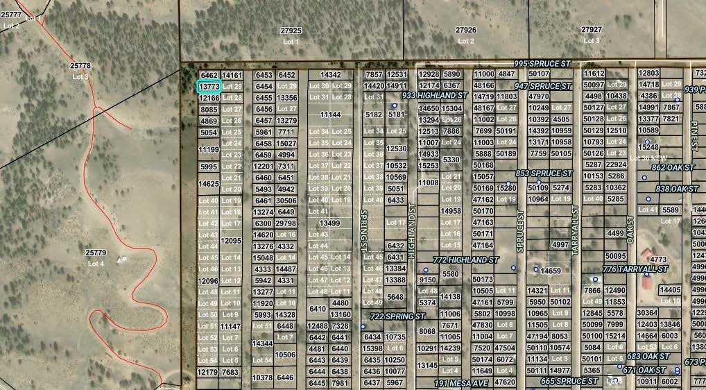 0 Hemlock Street Hartsel CO 80449
