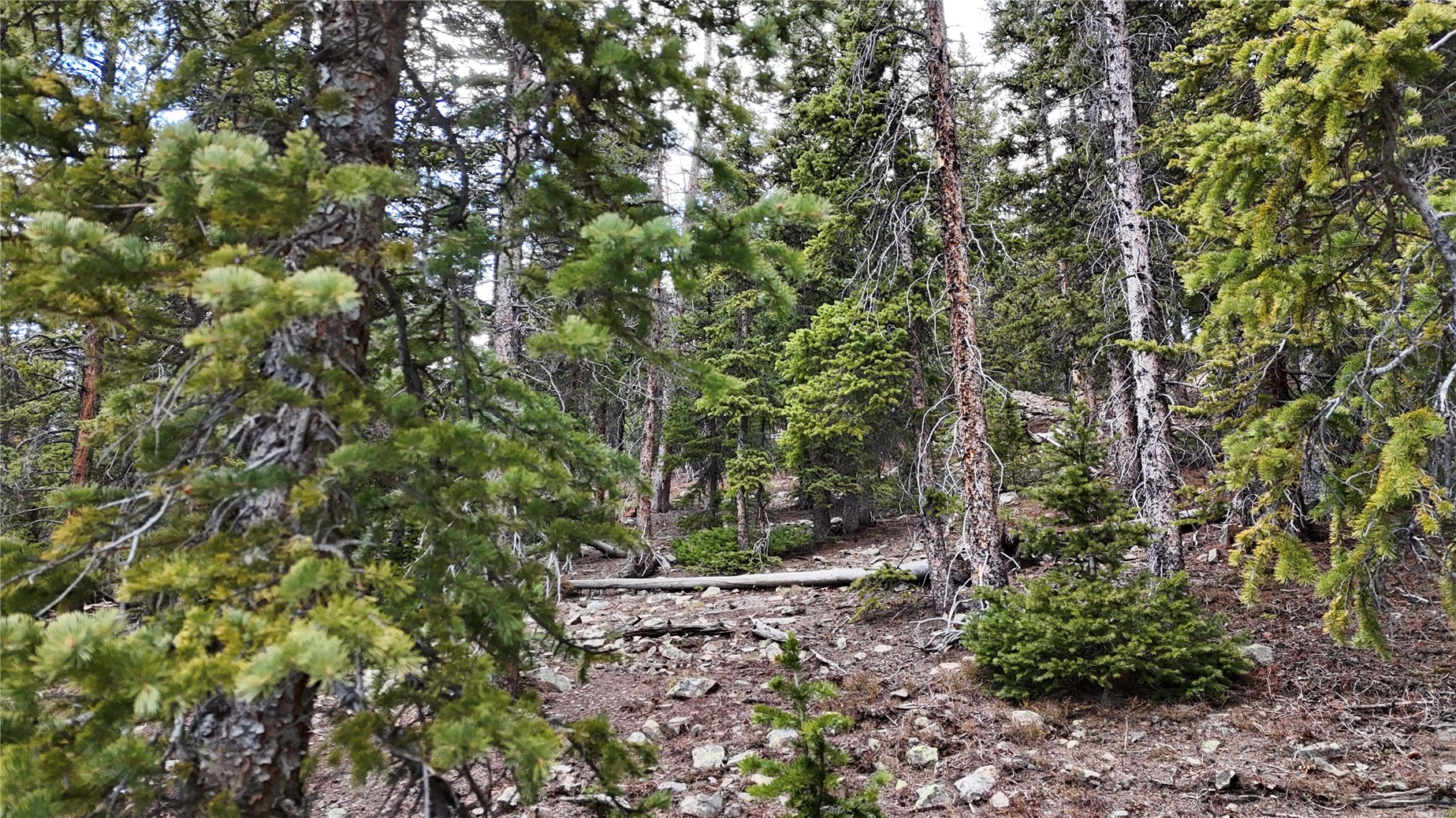 331 Kimmes Lane Breckenridge CO 80424