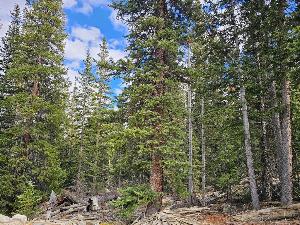 617 Gold Trail Circle Fairplay CO 80440