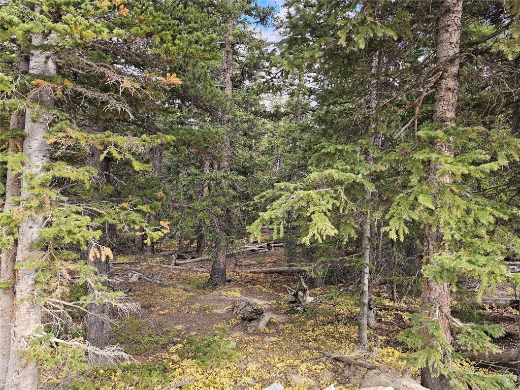 617 Gold Trail Circle Fairplay CO 80440