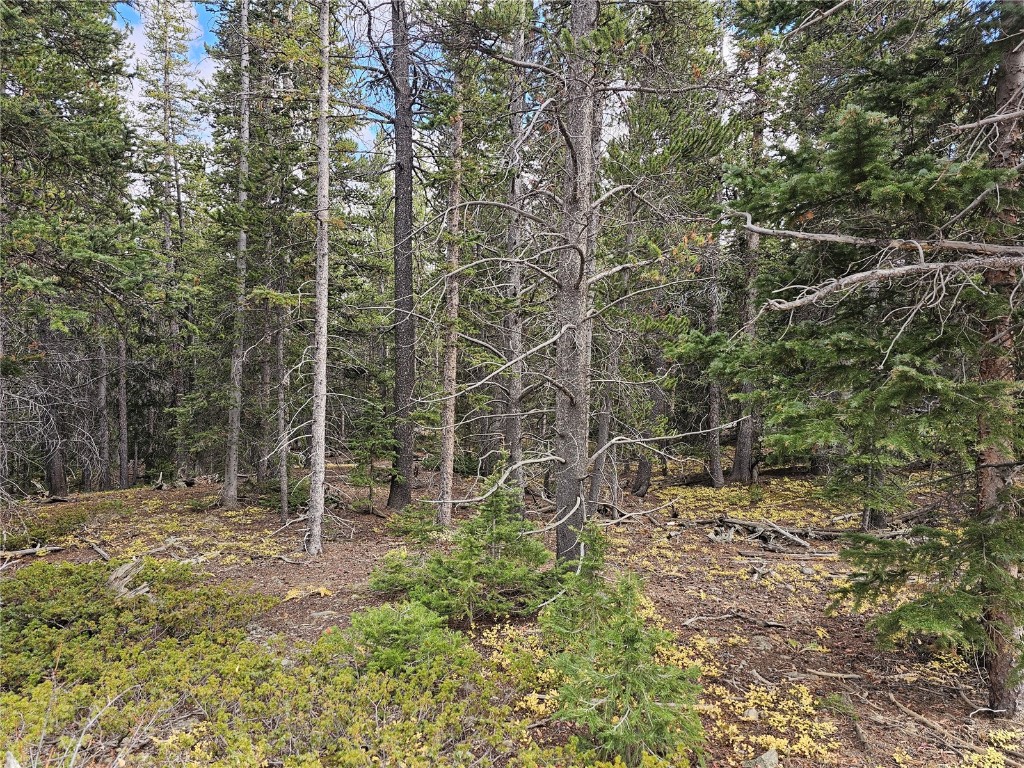 617 Gold Trail Circle Fairplay CO 80440