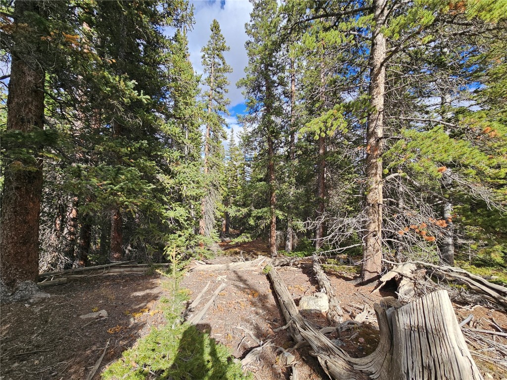 617 Gold Trail Circle Fairplay CO 80440