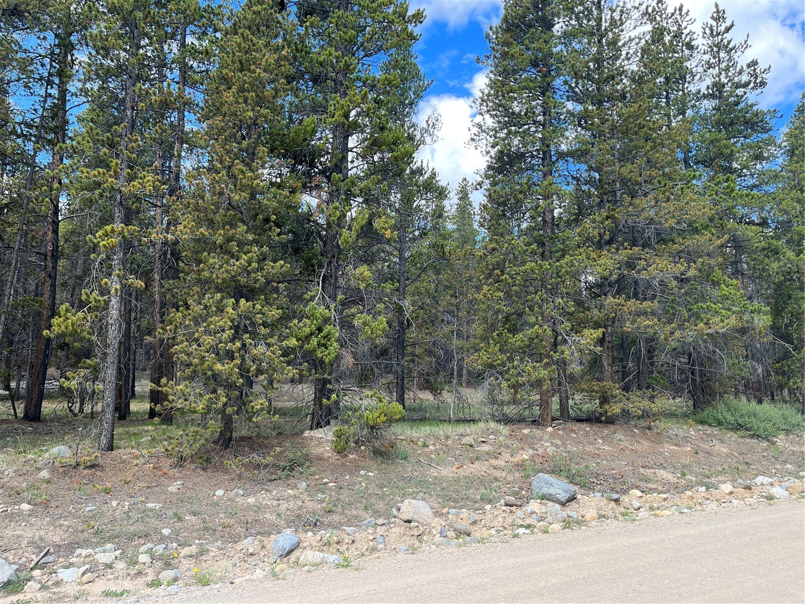 Tbd Pcr-19 Alma CO 80420