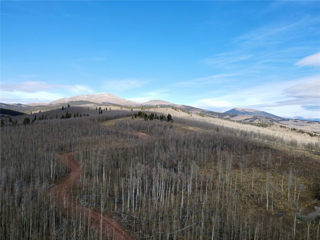 416 Little Baldy Circle Fairplay CO 80440