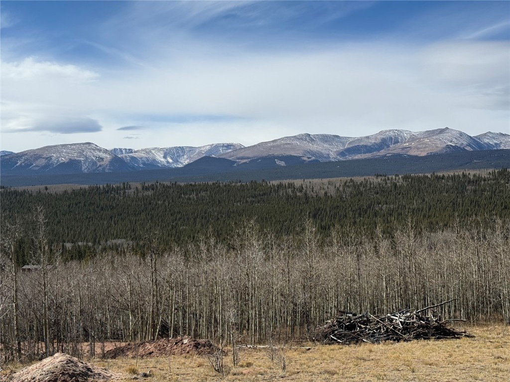 416 Little Baldy Circle Fairplay CO 80440