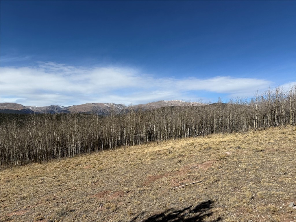 416 Little Baldy Circle Fairplay CO 80440