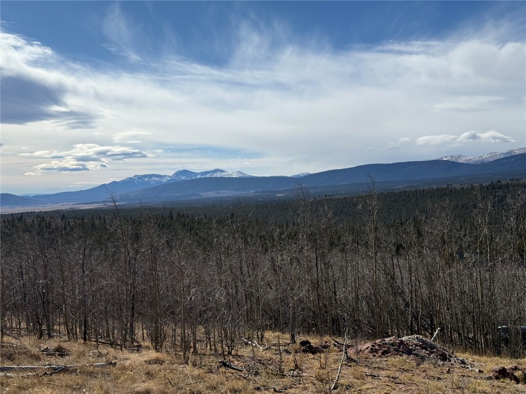 416 Little Baldy Circle Fairplay CO 80440