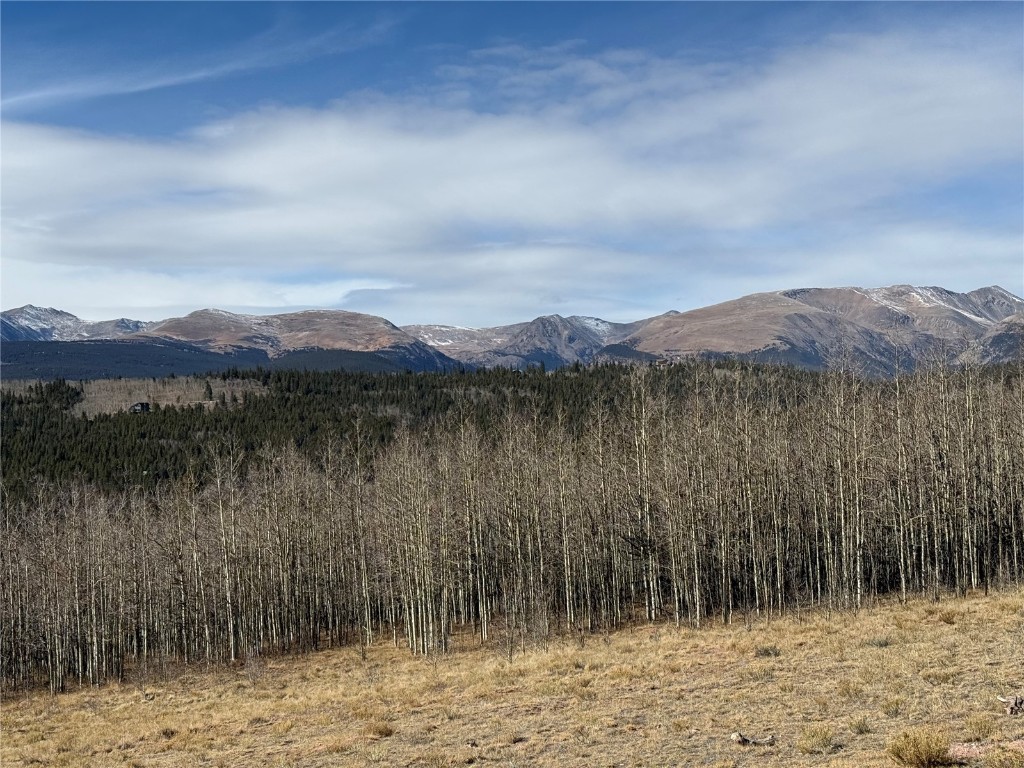 416 Little Baldy Circle Fairplay CO 80440