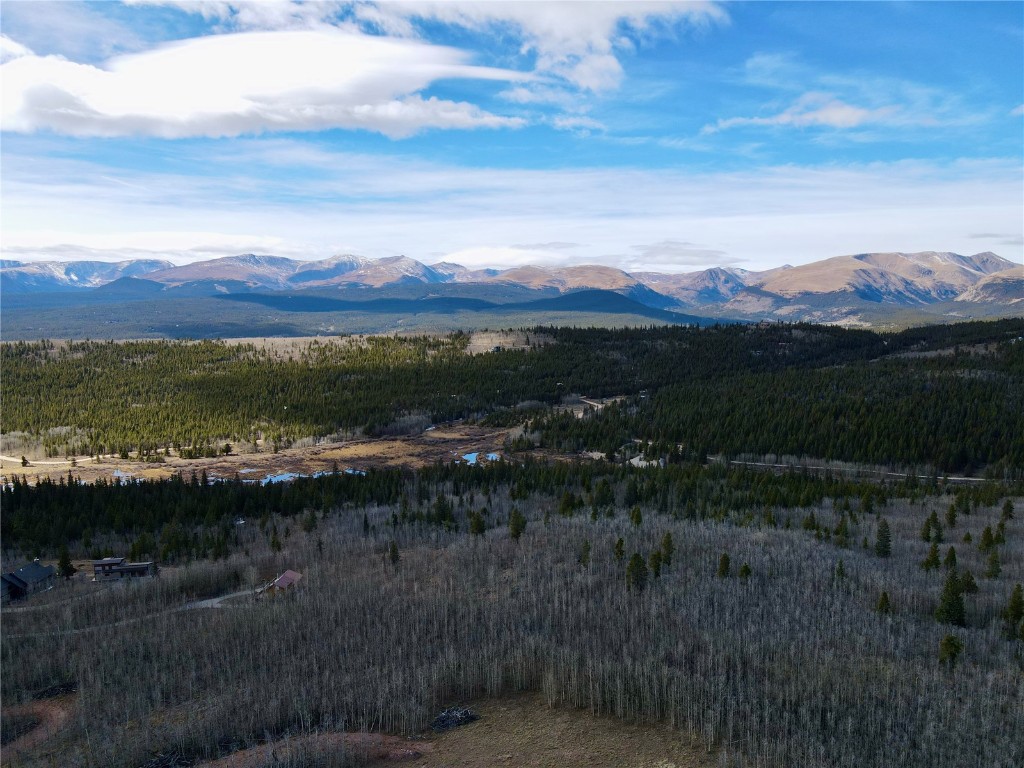 416 Little Baldy Circle Fairplay CO 80440