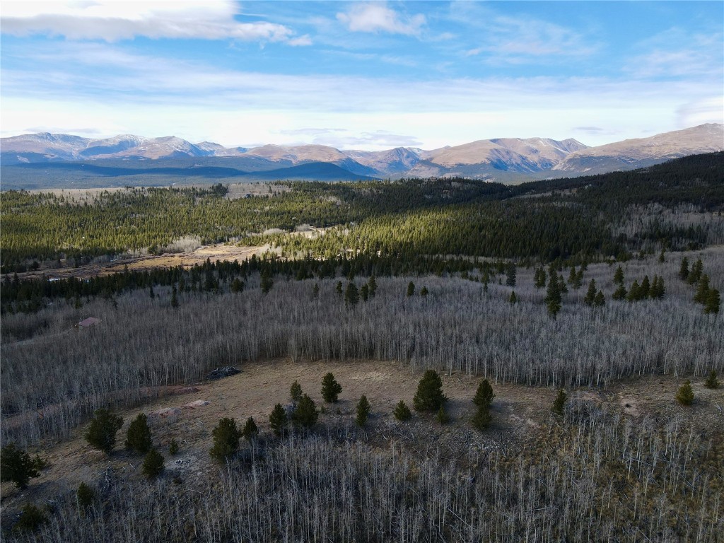 416 Little Baldy Circle Fairplay CO 80440