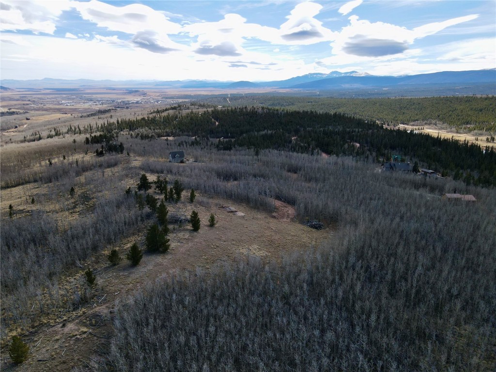 416 Little Baldy Circle Fairplay CO 80440