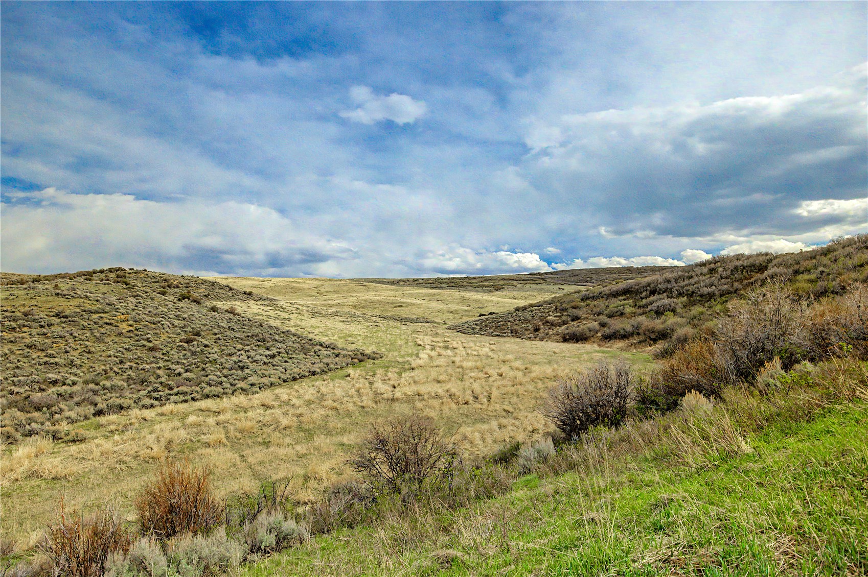 Tbd County Road 57 Hayden CO 81639