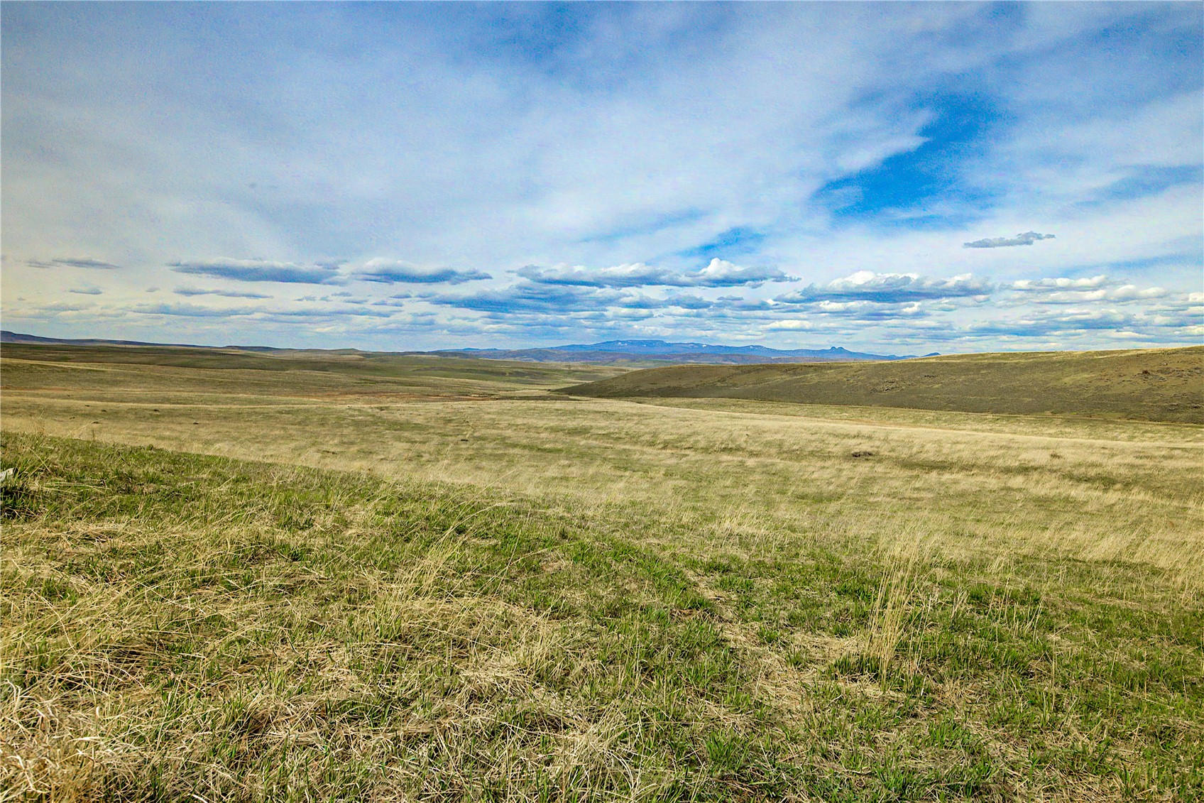 Tbd County Road 57 Hayden CO 81639