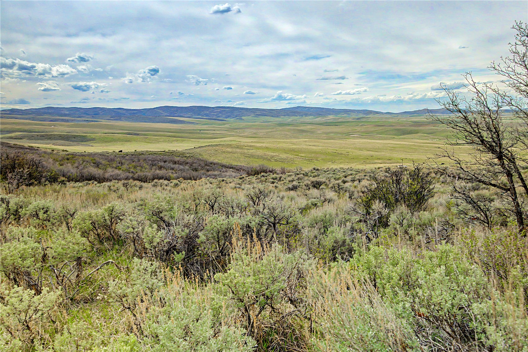 Tbd County Road 57 Hayden CO 81639