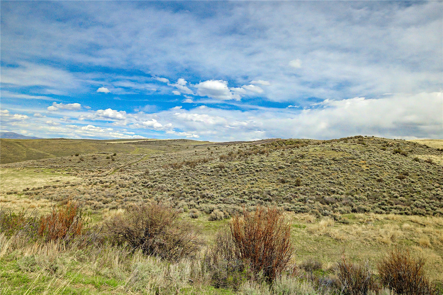 Tbd County Road 57 Hayden CO 81639