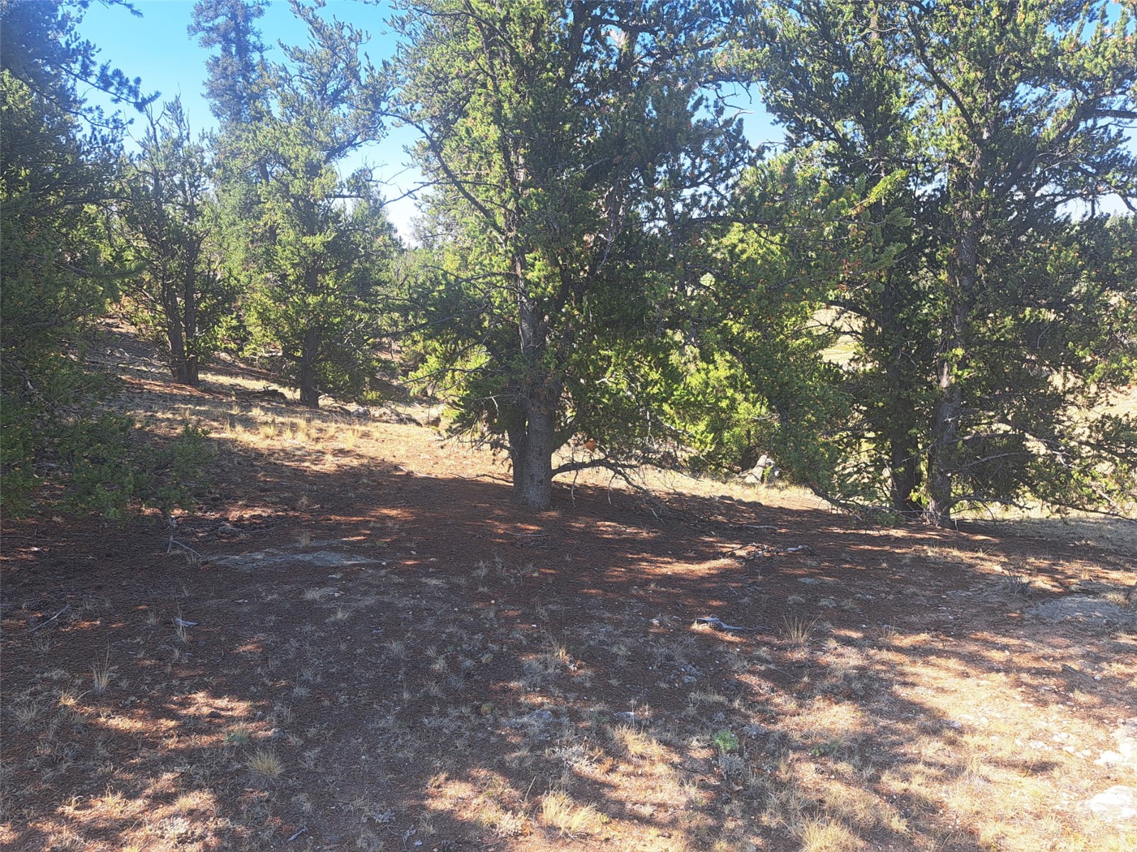 481 Ramrod Way Como CO 80432