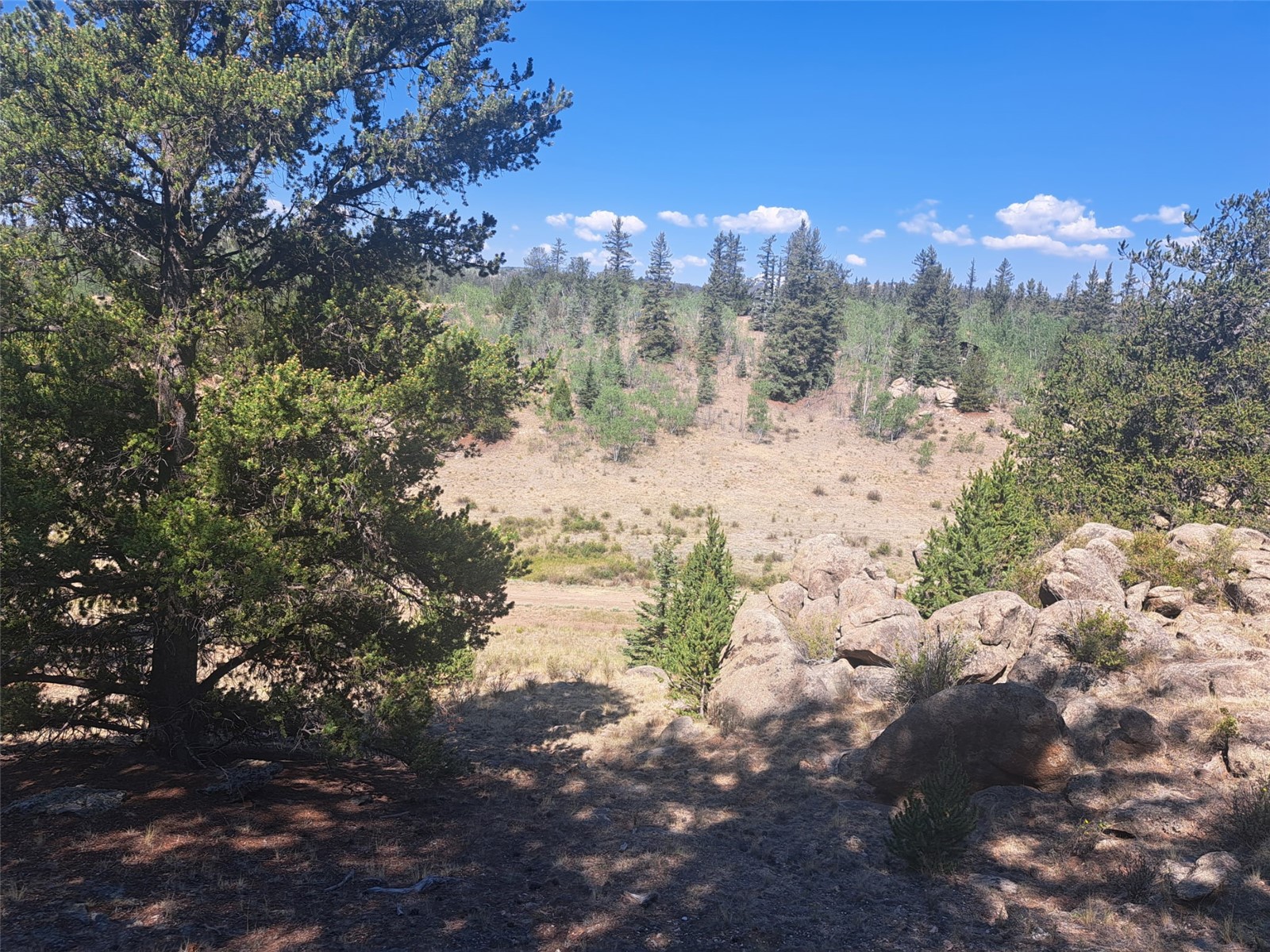 481 Ramrod Way Como CO 80432