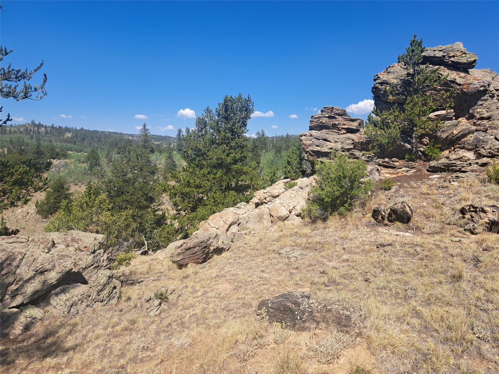 481 Ramrod Way Como CO 80432