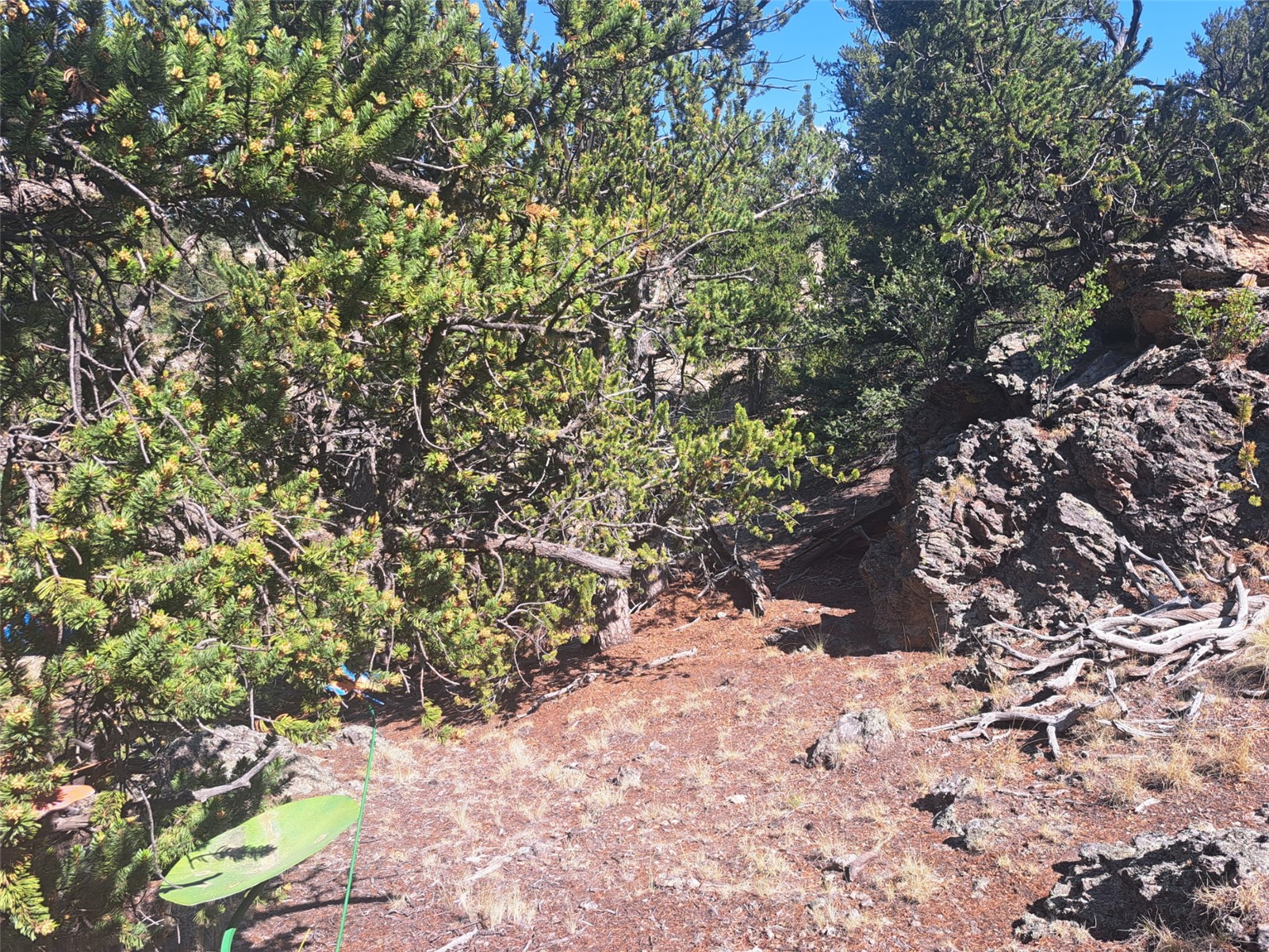 481 Ramrod Way Como CO 80432