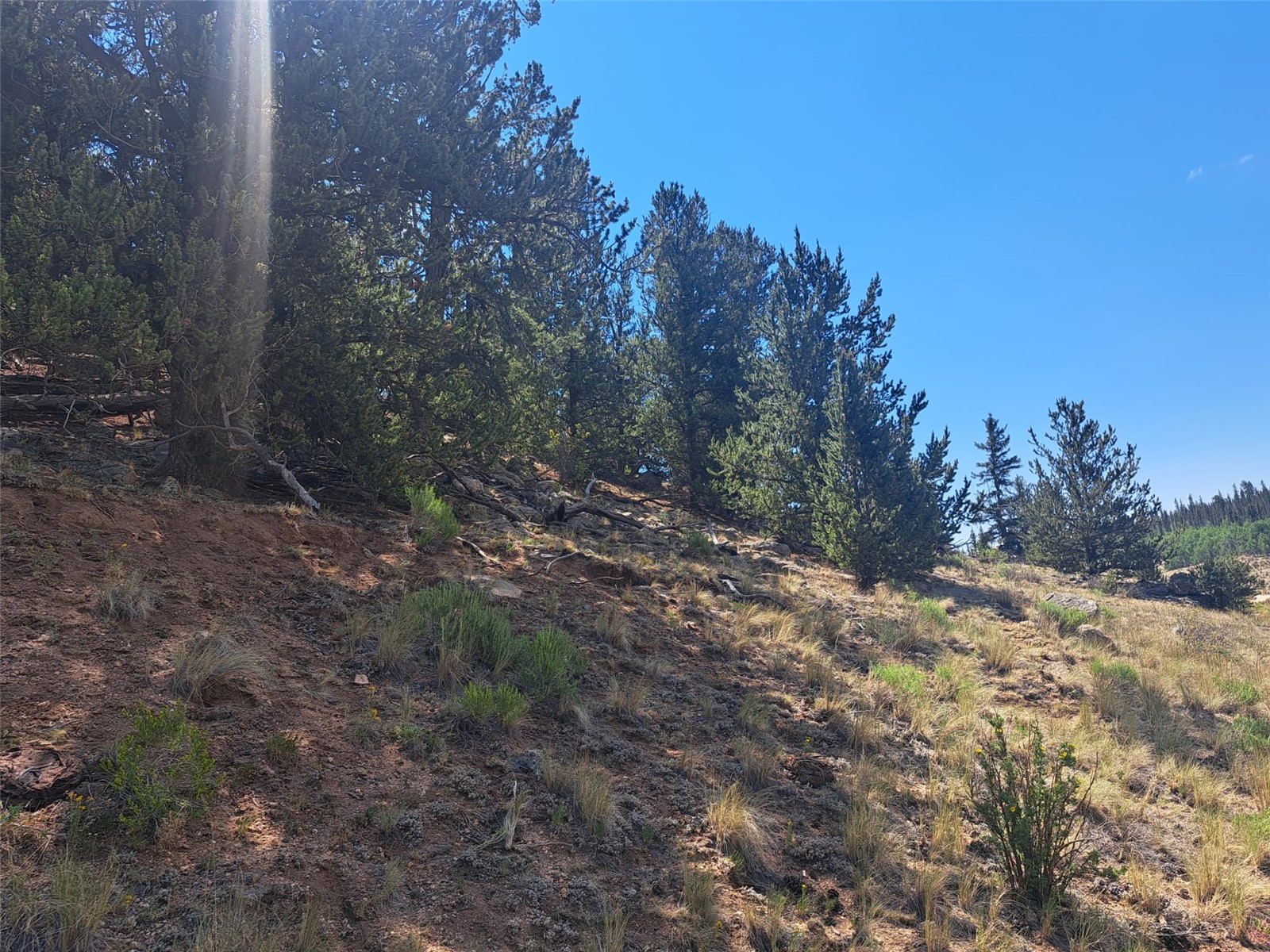 481 Ramrod Way Como CO 80432