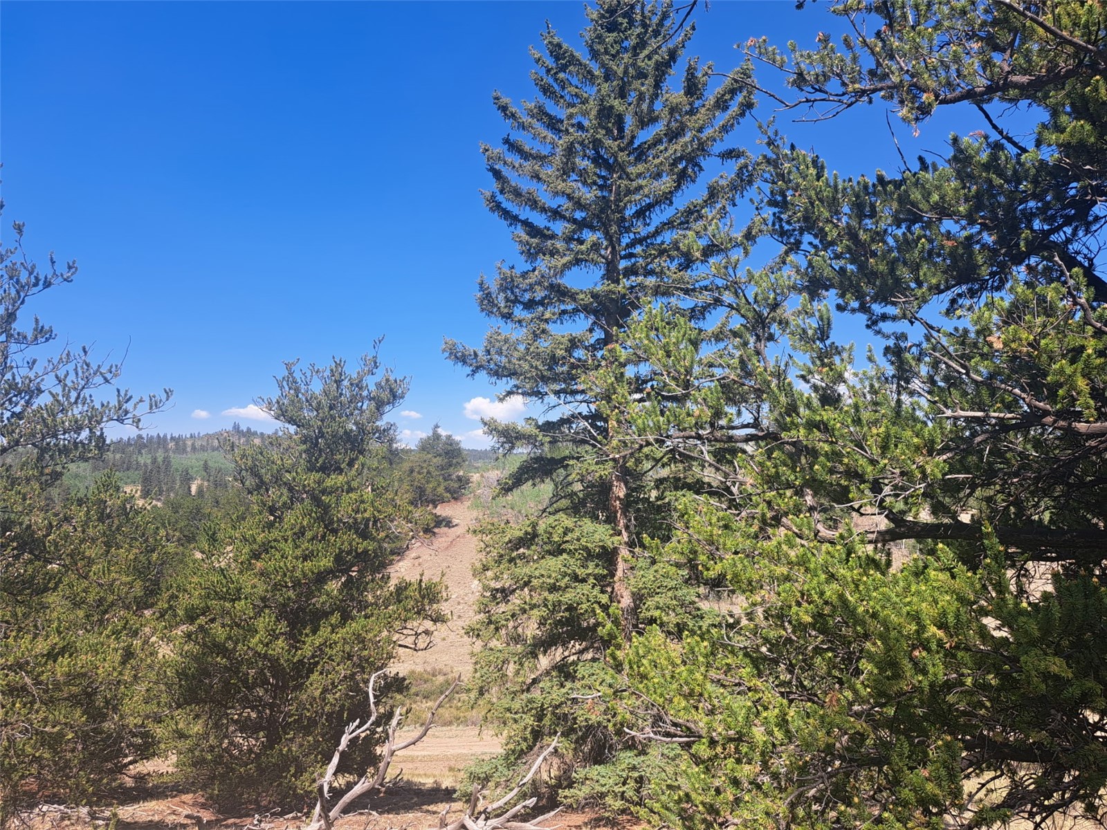 481 Ramrod Way Como CO 80432
