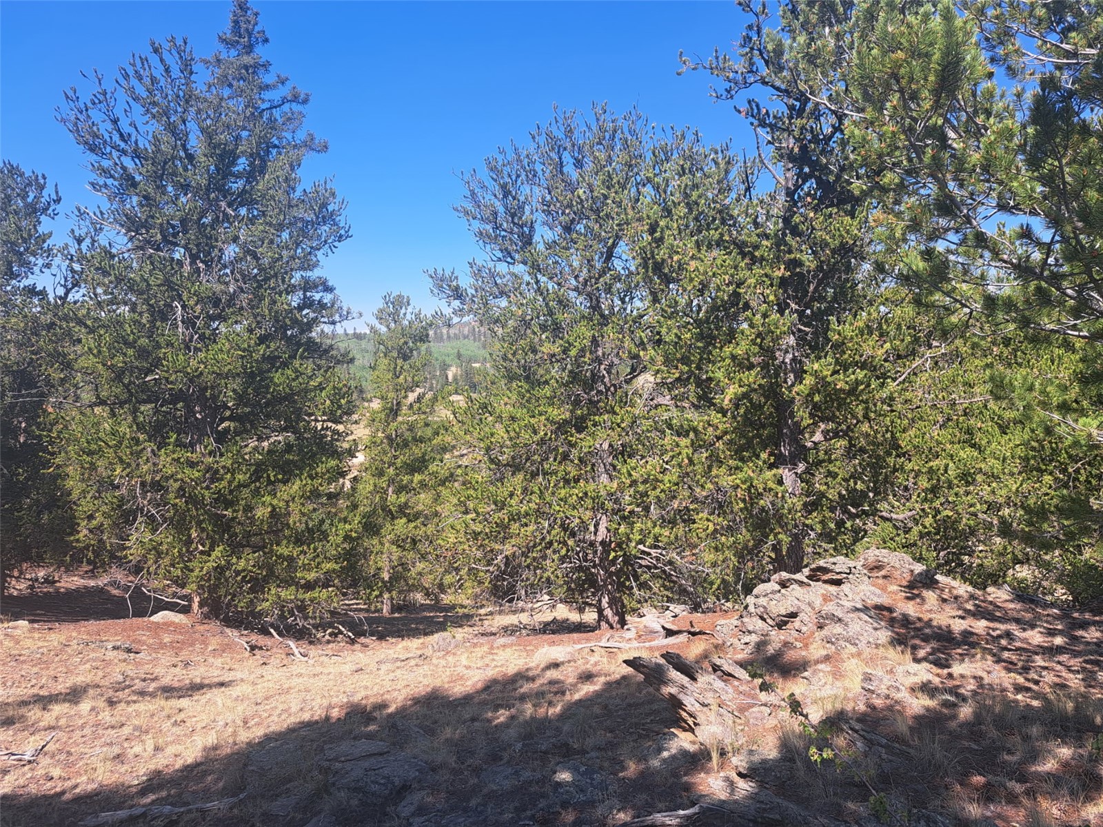 481 Ramrod Way Como CO 80432