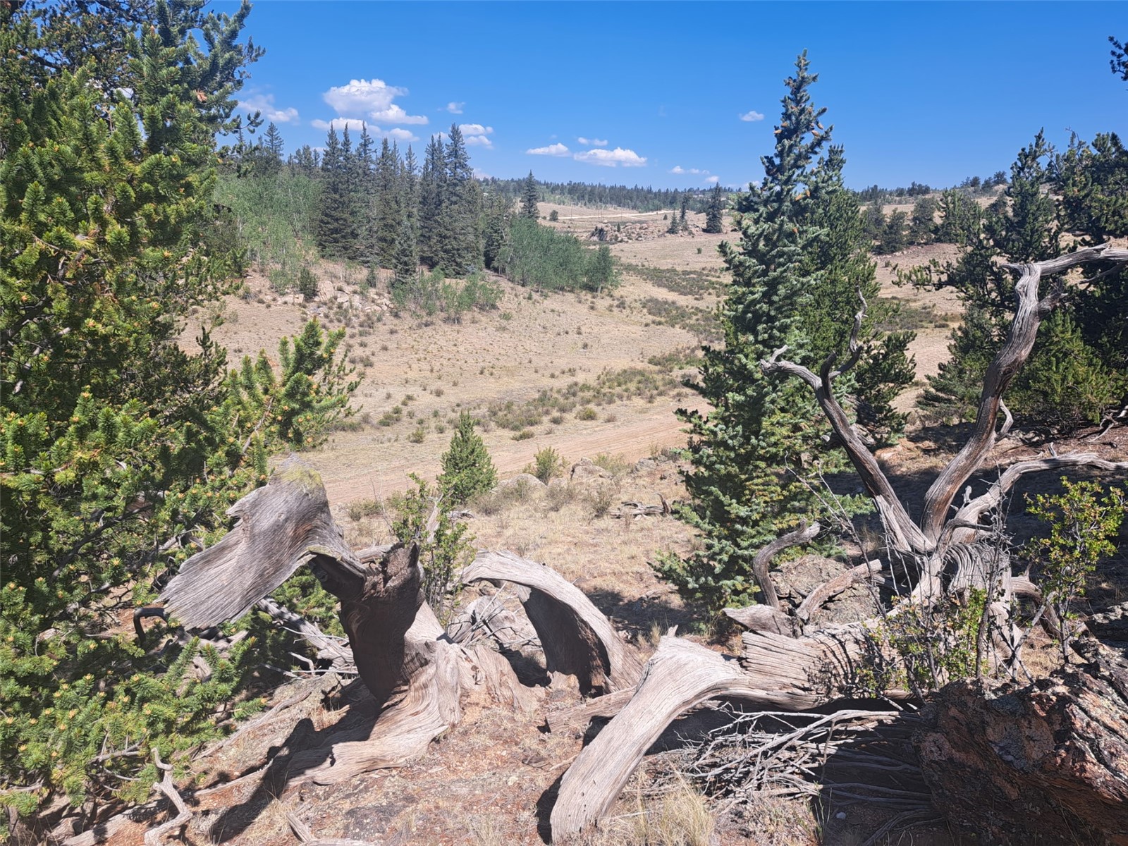 481 Ramrod Way Como CO 80432