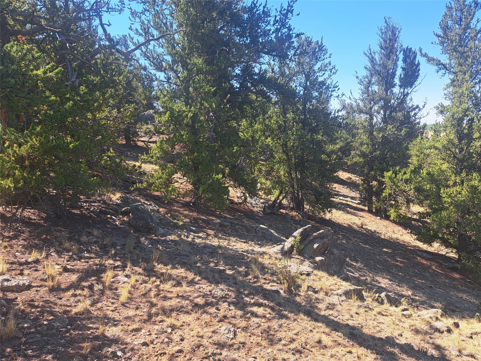 481 Ramrod Way Como CO 80432