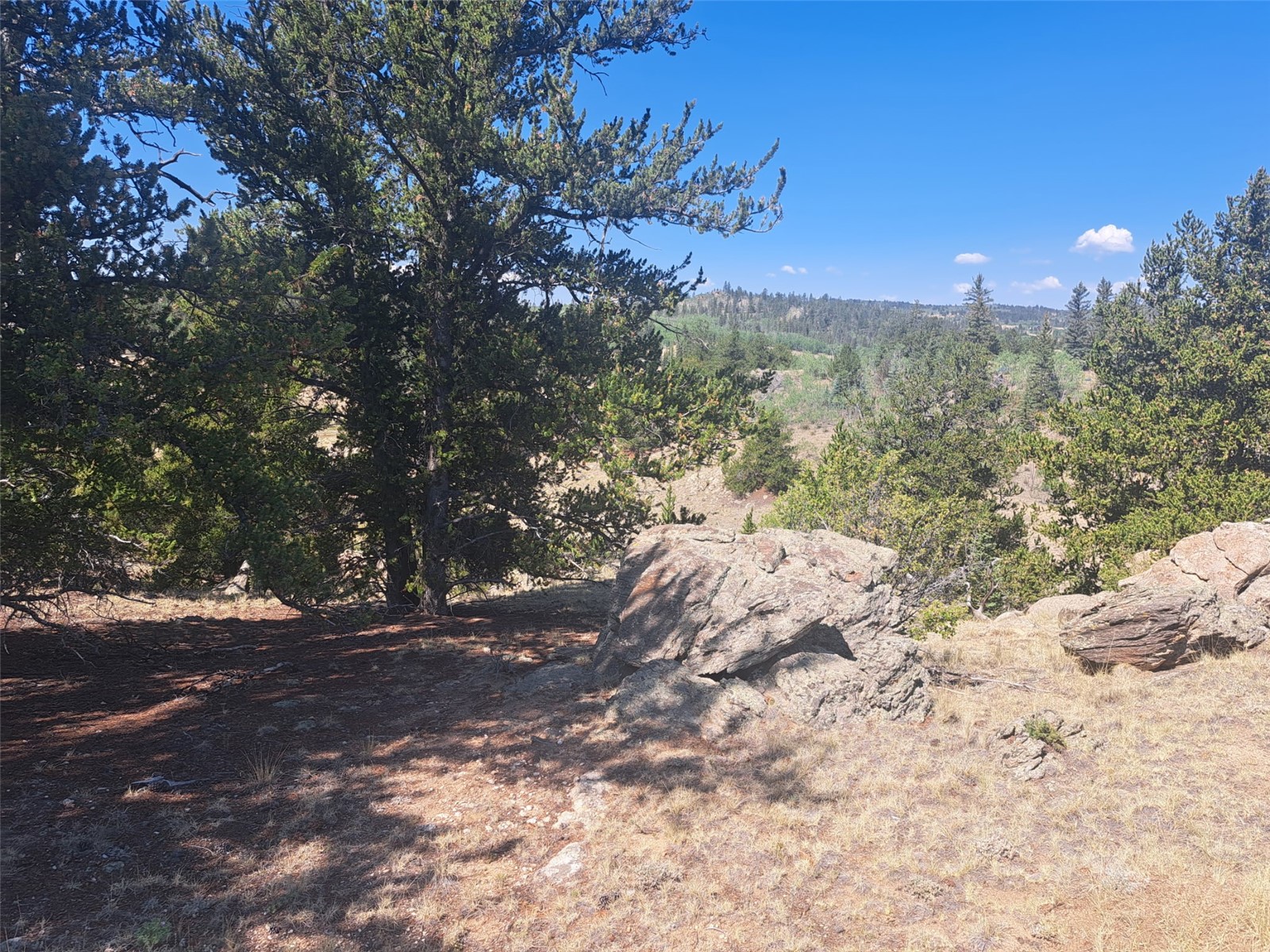 481 Ramrod Way Como CO 80432