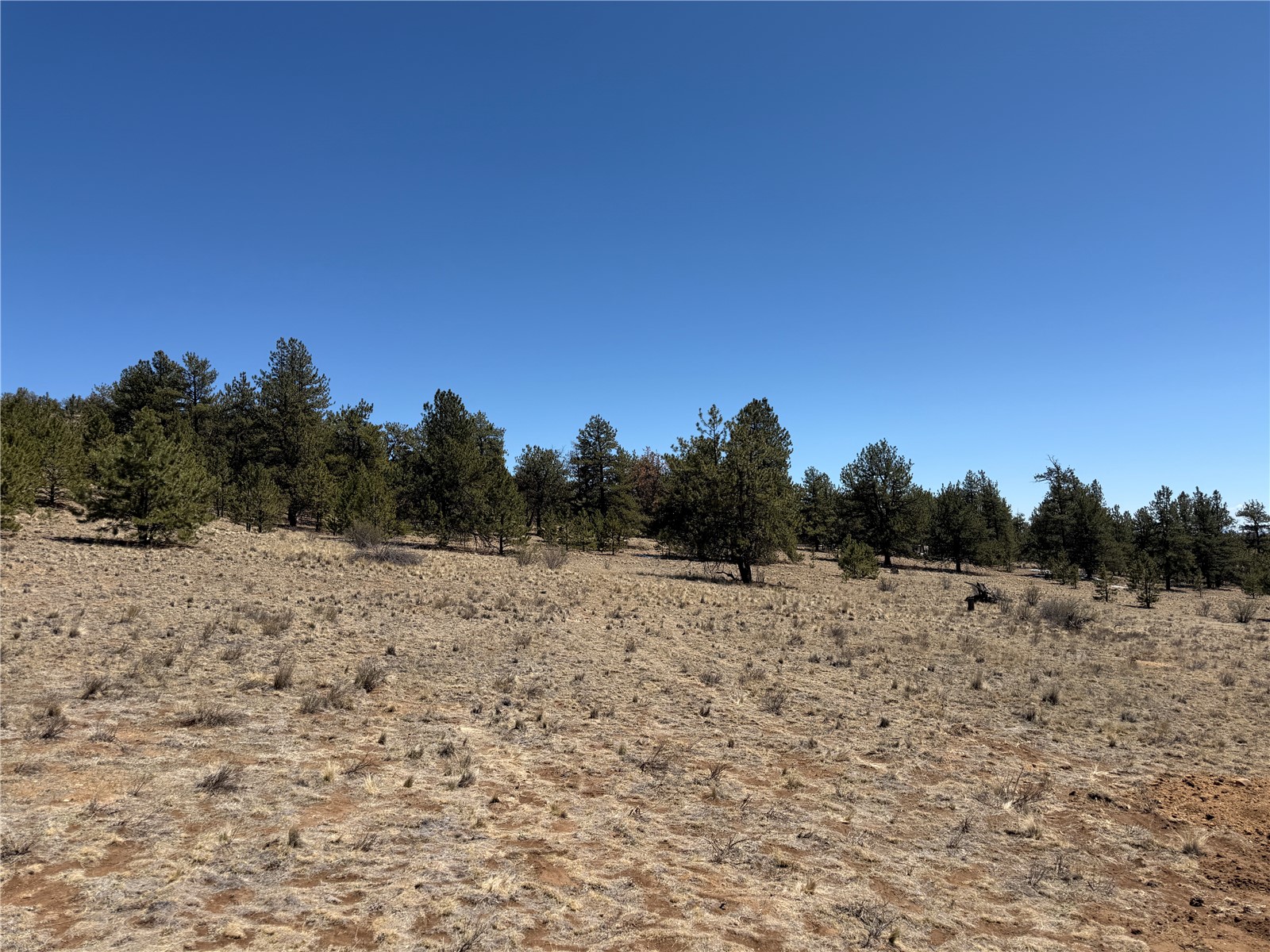 204 Opal Drive Hartsel CO 80449