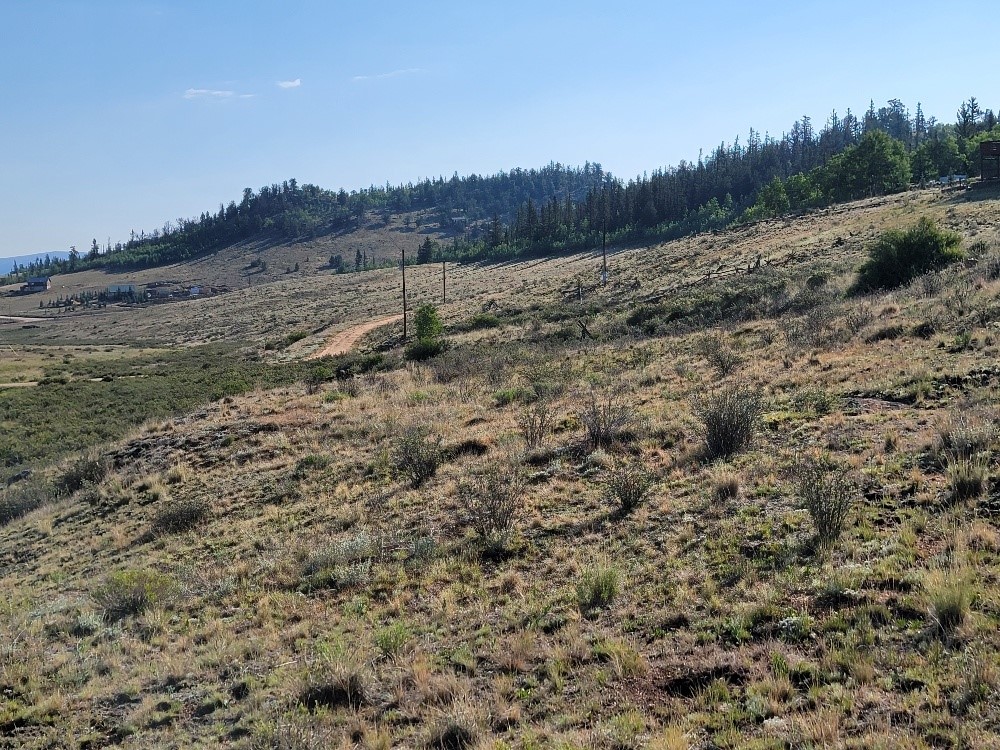 2475 W Longbow Drive Como CO 80432