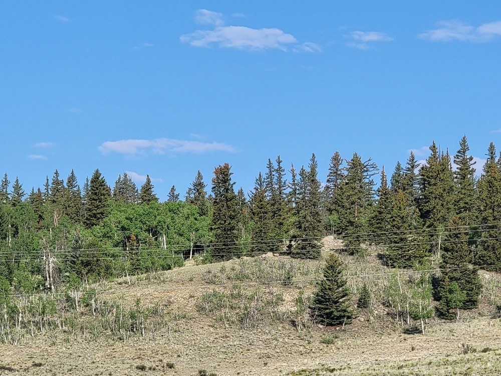 2475 W Longbow Drive Como CO 80432