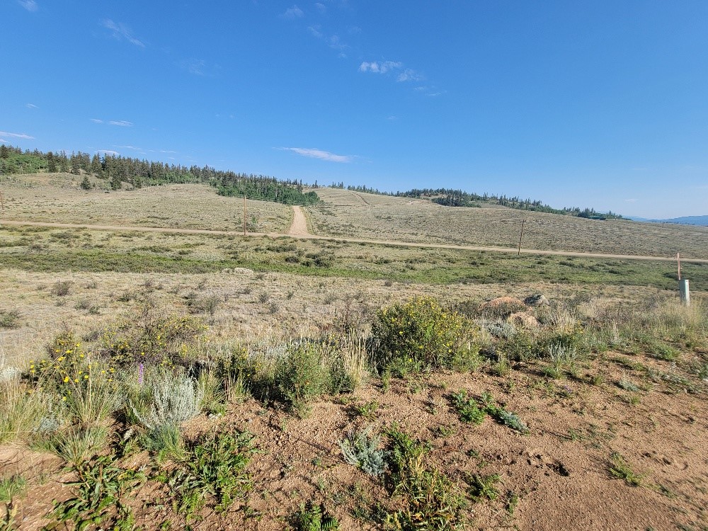 2475 W Longbow Drive Como CO 80432