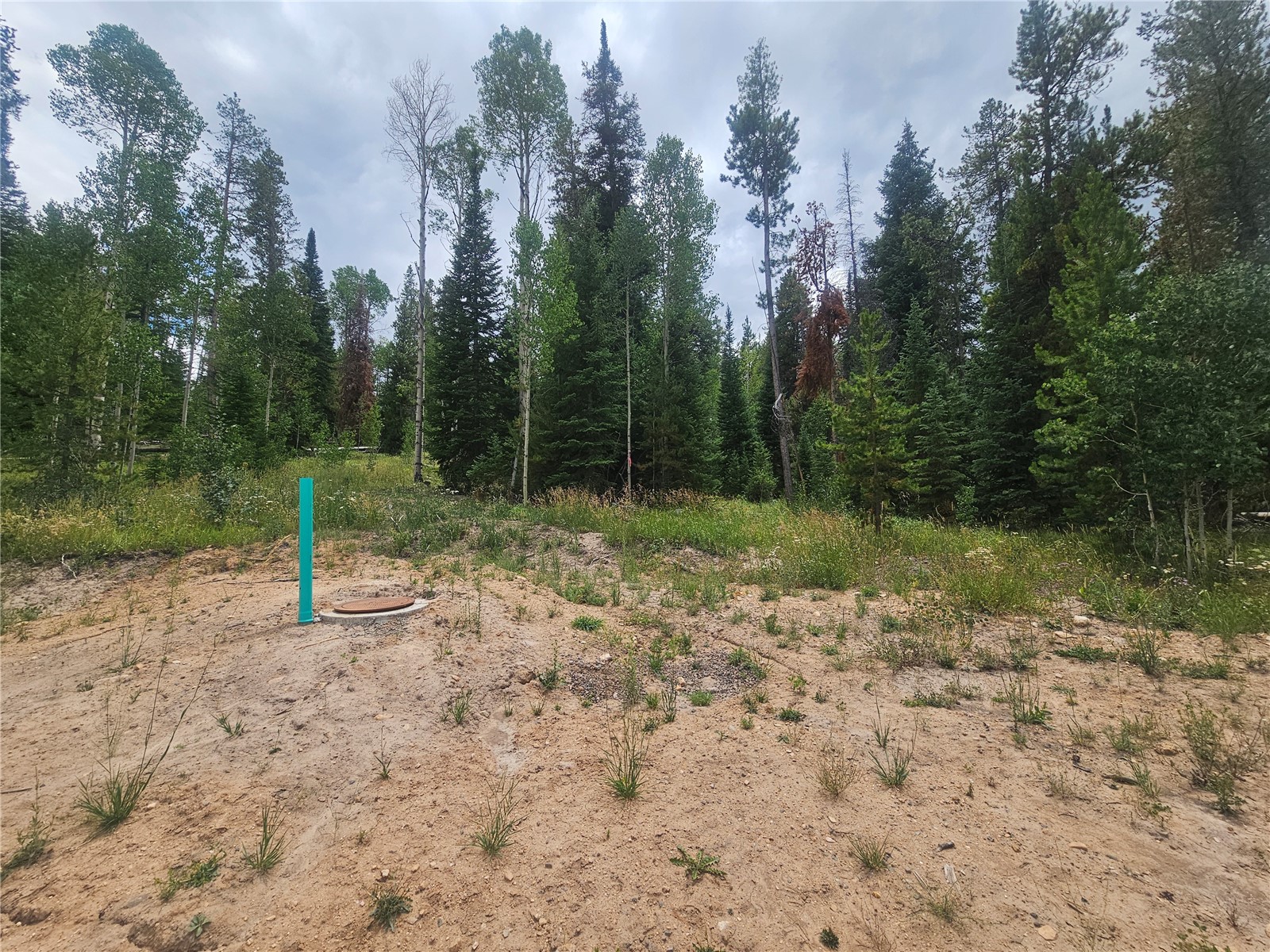 20885 Pinto Way Oak Creek CO 80467