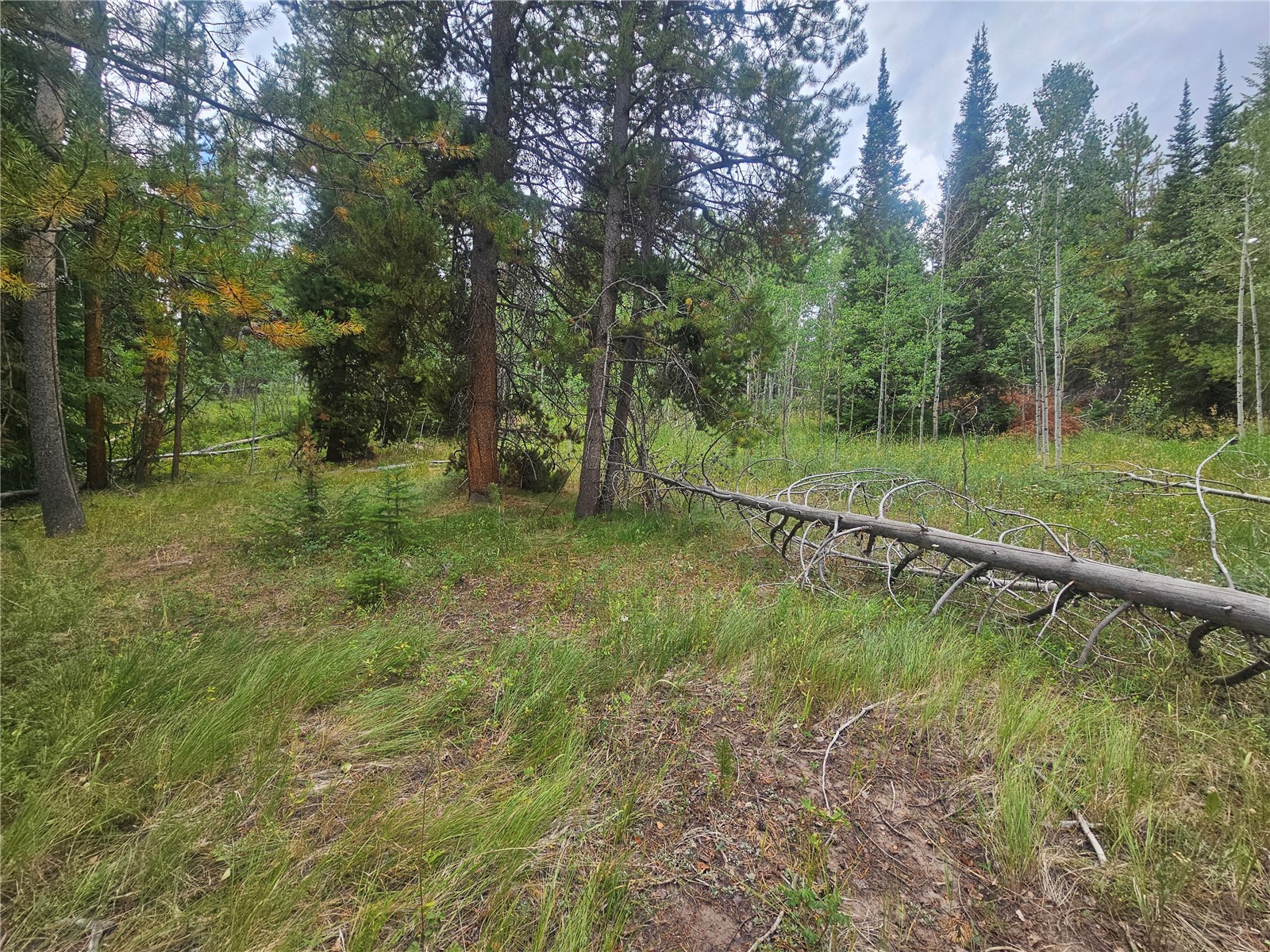 20885 Pinto Way Oak Creek CO 80467