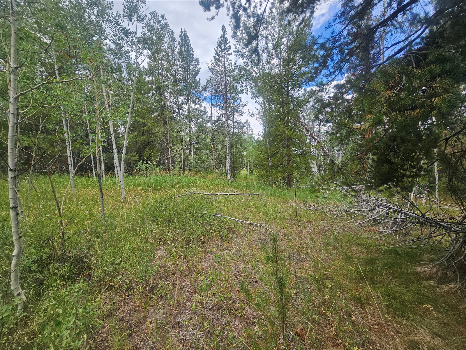 20885 Pinto Way Oak Creek CO 80467