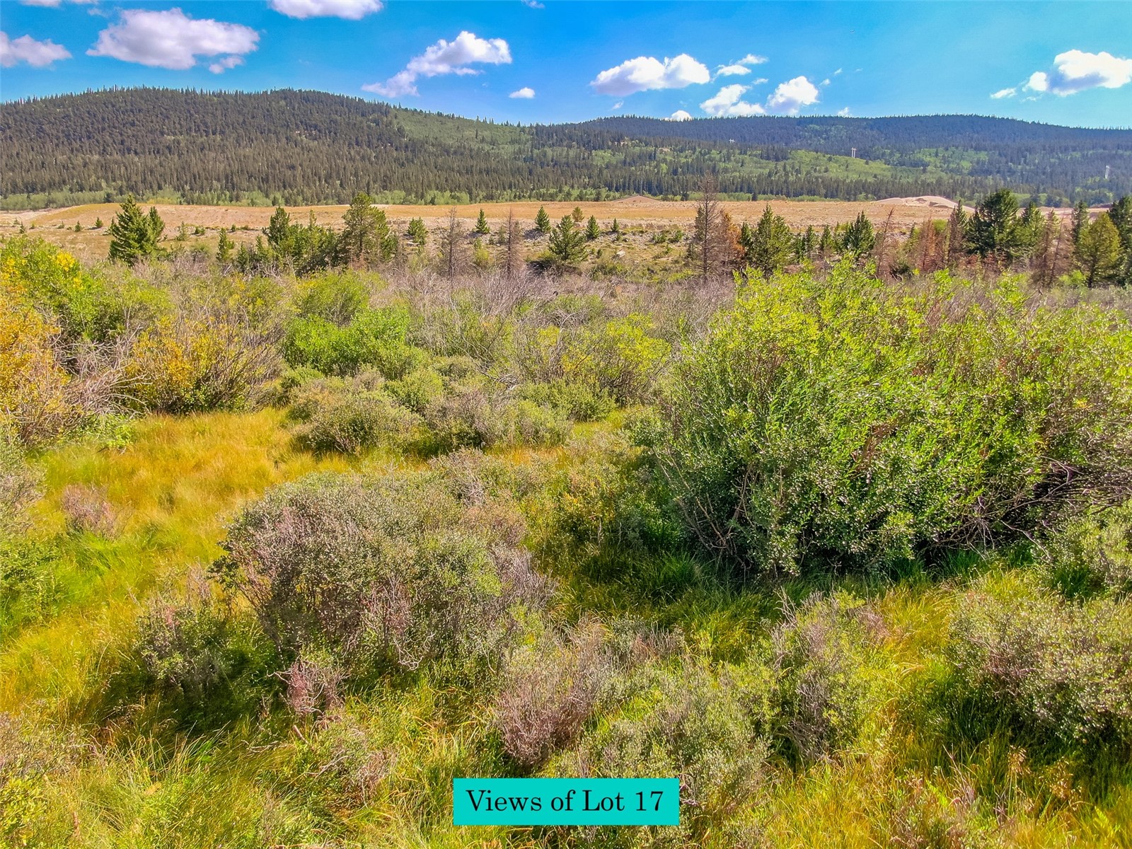 Lot 17 Singleton Road Alma CO 80420