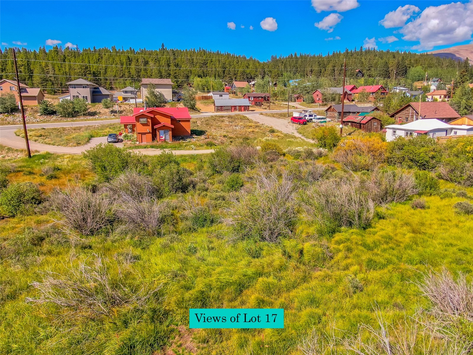 Lot 17 Singleton Road Alma CO 80420