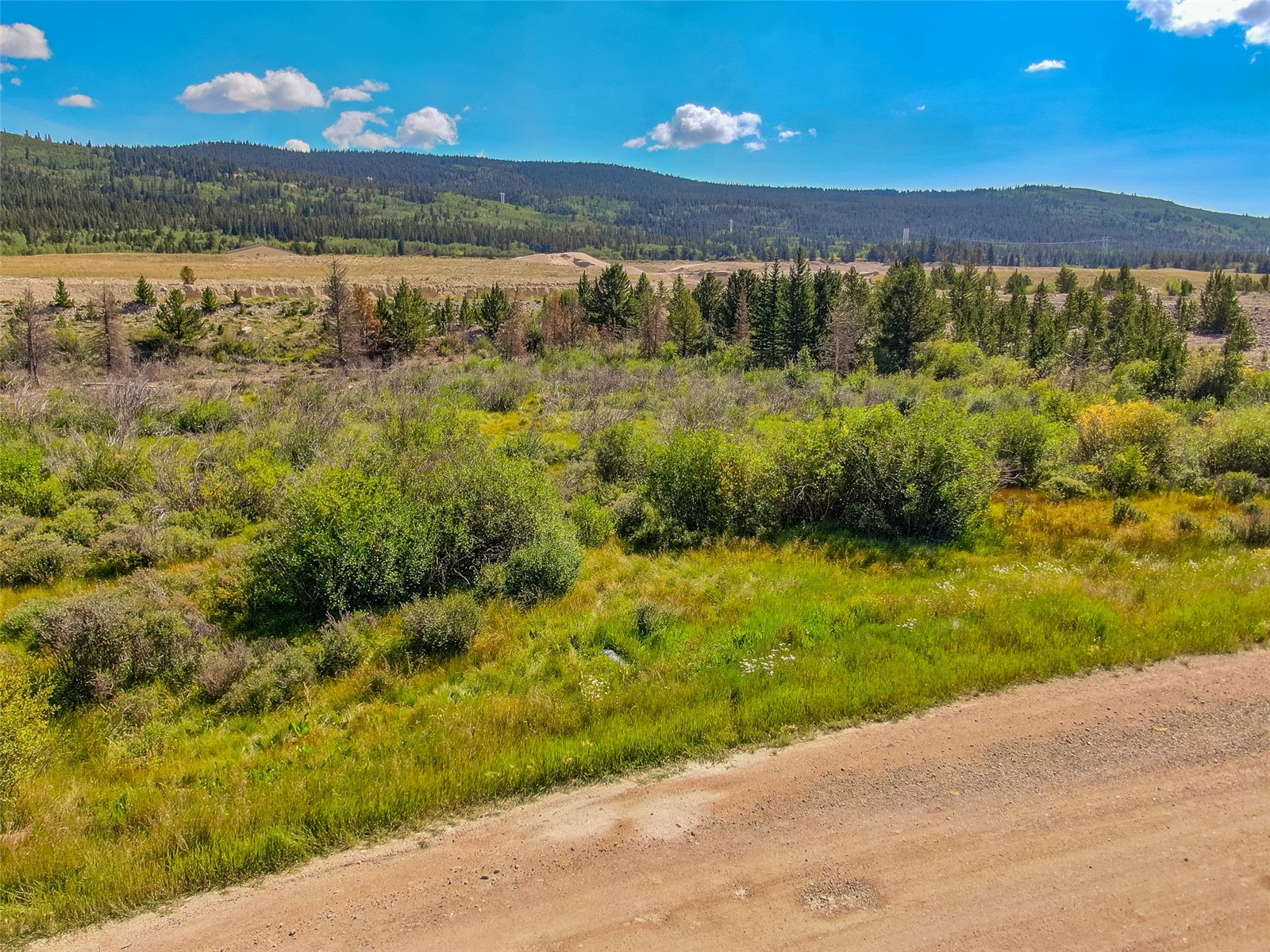Lot 17 Singleton Road Alma CO 80420