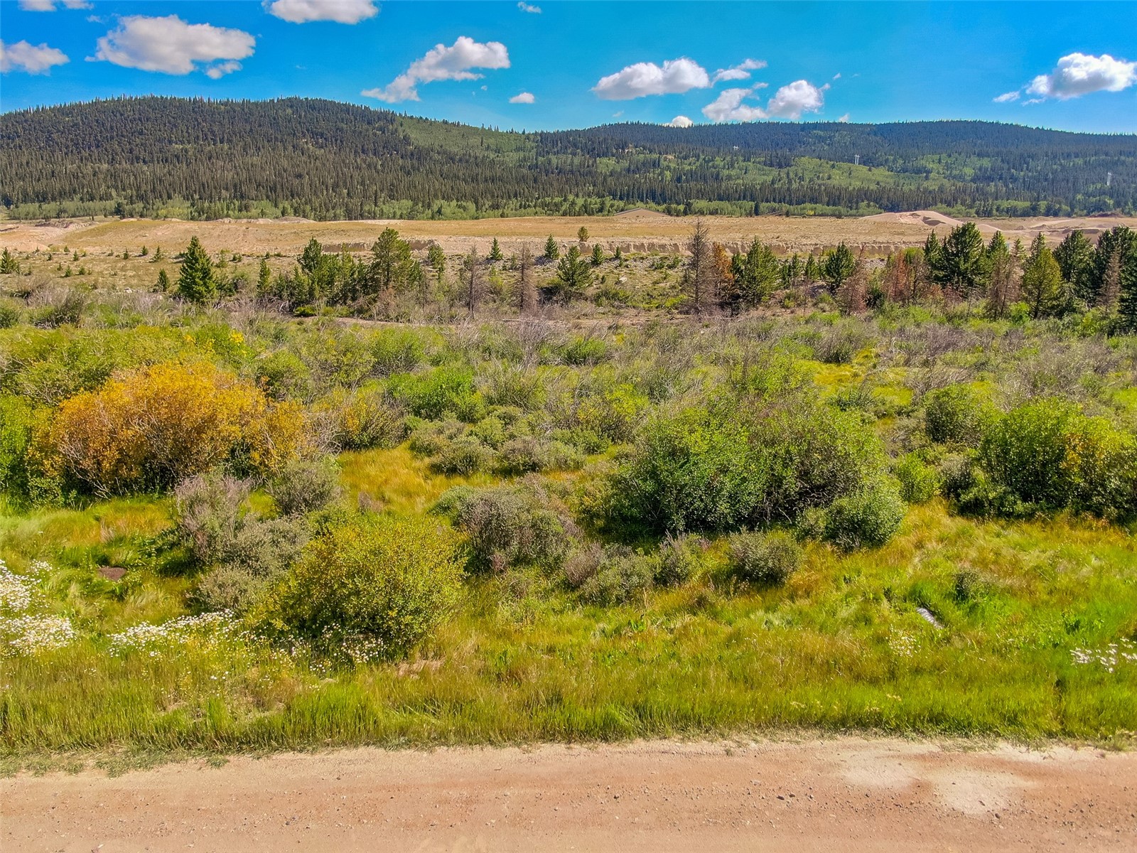 Lot 17 Singleton Road Alma CO 80420