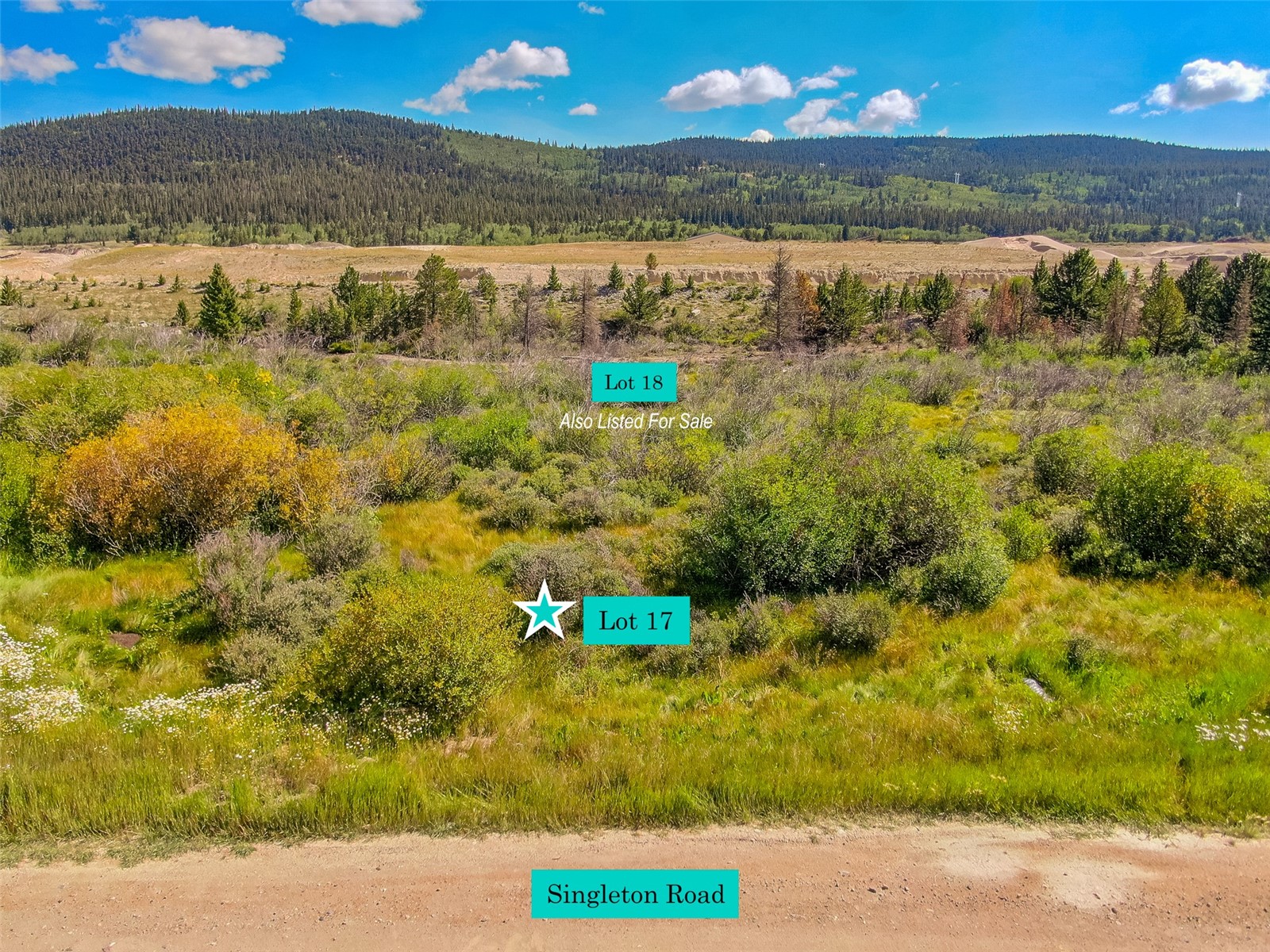 Lot 17 Singleton Road Alma CO 80420