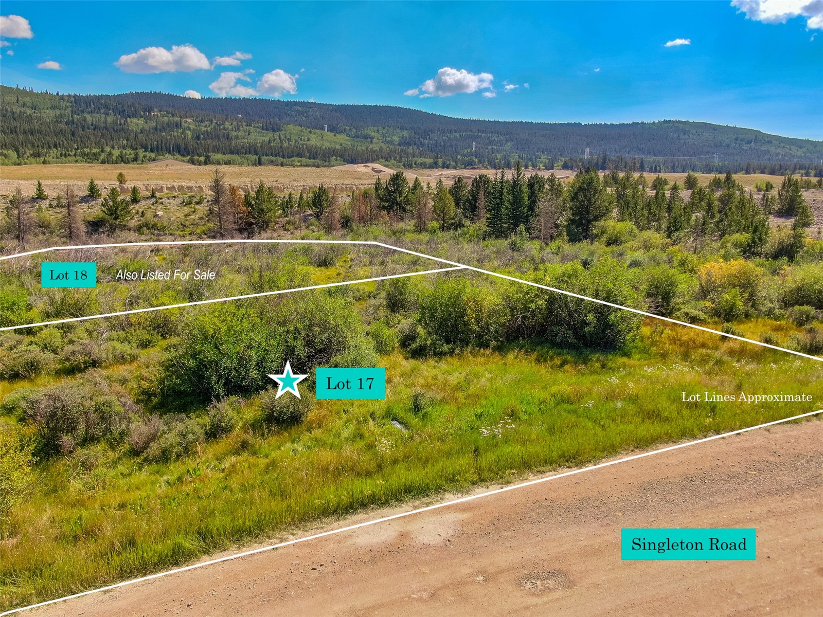 Lot 17 Singleton Road Alma CO 80420