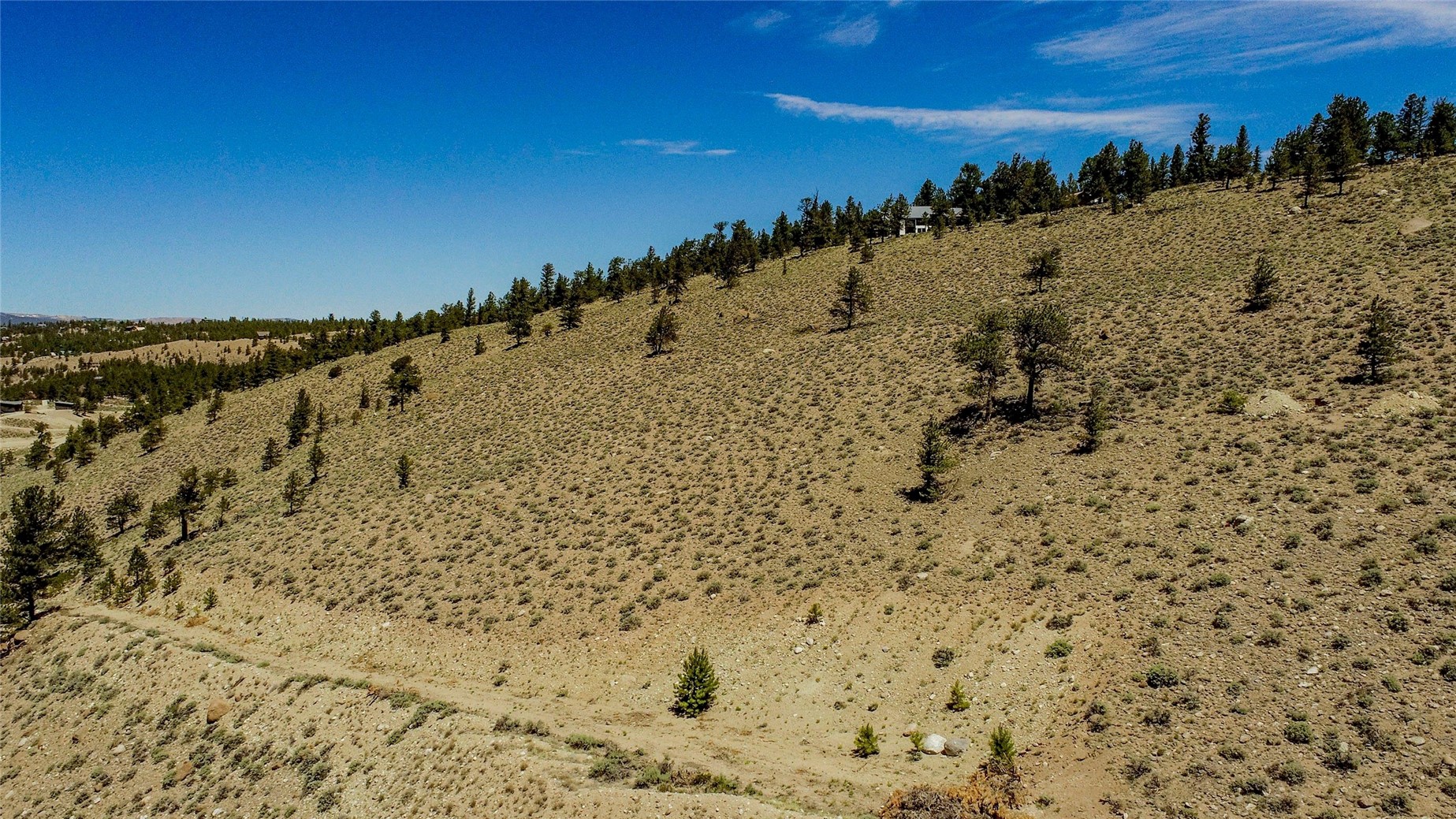 6278 County Road 10 Leadville CO 81251