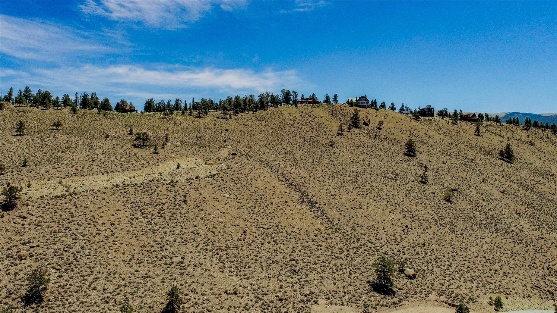 6278 County Road 10 Leadville CO 81251